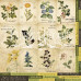 Набор карточек №3 "Botany summer" (ukr) от Фабрика Декора