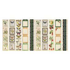 Набор полос с картинками для декорирования, Summer botanical diary, 5 шт, 200 г/м2, 5х30,5 см, Фабрика Декора