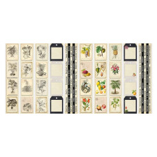 Набор полос с картинками для декорирования, Botany exotic, 5 шт, 5х30,5 см, Фабрика Декора
