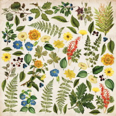 Набір картинок для вирізання Summer Botanical Story 20х20 см Фабрика Декору