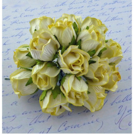 Набір бутонів диких трояндочок ніжно-жовтого кольору, 2 см, 5 шт