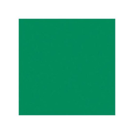 Фетр Pirate Green 30х23 см від компанії Kunin