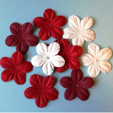 Набор цветочков-пятилистников в белых и красных тонах, 4 см, 10 шт