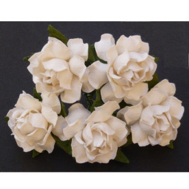 Набір 5 диких трояндочок білого кольору, 30 мм