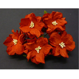 Гарденія червоного кольору 4 см