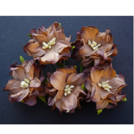 Гардения шоколадного цвета 4 см