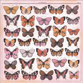 Односторонній папір з глоси-акцентами Fressia 30х30 см від Kaisercraft