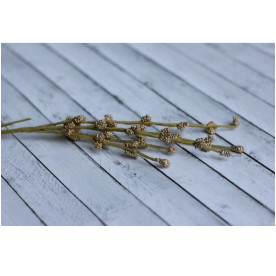 Набір гілочок з бруньками золотого кольору, 5 шт від Hobby and You