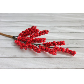 Гілочка бузини з червоними ягідками від Hobby and You