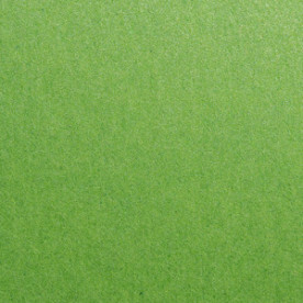 Картон перламутровый гладкий Stardream fairway 30х30 см 285 г/м2