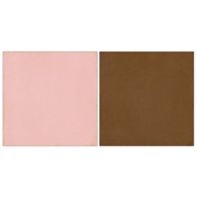 Двосторонній папір Brown / Lt.Pink 30х30 см від Echo Park