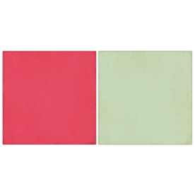 Двосторонній папір Pink / Mint 30х30 см від Echo Park