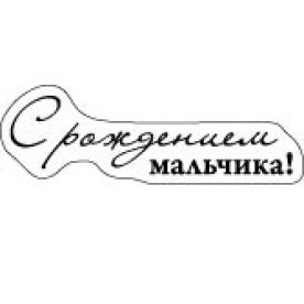 Акриловый штамп С Рождением мальчика!, 62х34 мм, ScrapBerry's