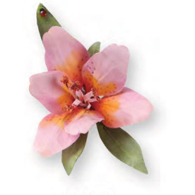 Набір ножів для вирізання Lily Flower від Sizzix