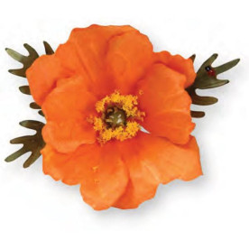 Набір ножів для вирізання Poppy Flower від Sizzix