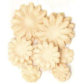 Набор цветочков кремового цвета от Kaisercraft, 60 шт