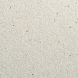 Гладкий картон Flora Anice (calla) 30х30 см, щільність 350 г/м2