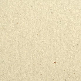 Гладкий картон, Flora Avorio, 30х30 см, щільність 100г/м2