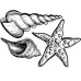 Акриловий штамп Мушлі і морська зірка 6.5х4.5 см