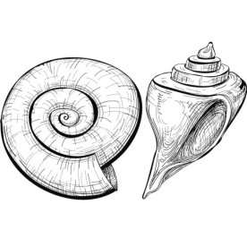 Акриловий штамп 2 черепашки 6.2х4.0 см