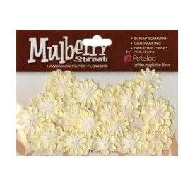 Набор бумажных цветов различных форм и размеров Mini Delphiniums Cream от Petaloo