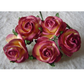 Набор 5 декоративных открытых роз бургунди-кремового цвета, 25 мм