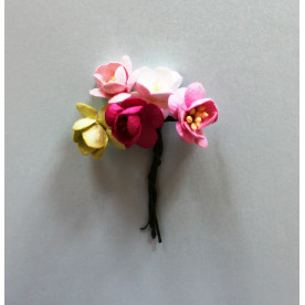 Набір декоративних квіток вишні в різних тонах рожево-зеленого кольору 5 шт.