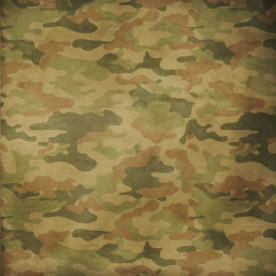 Двусторонняя бумага Точка невозврата: Пыльный  Хаки  - 30,5х30,5 см от ScrapBerry's