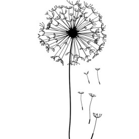 Акриловий штамп Кульбаба 5х2.5 см