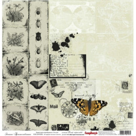 Односторонній папір для Вітер Мандрів: Записки Мандрівника від від ScrapBerry's