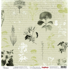 Односторонній папір Вітер Мандрів: Гербарій від ScrapBerry '