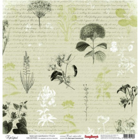 Односторонній папір Вітер Мандрів: Гербарій від ScrapBerry '