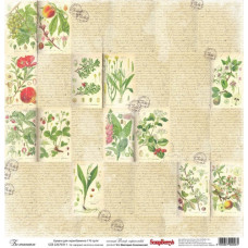 Односторонній папір Вітер Мандрів: Ботаніка- від ScrapBerry's