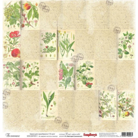 Односторонній папір Вітер Мандрів: Ботаніка- від ScrapBerry's