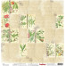Односторонній папір Вітер Мандрів: Ботаніка- від ScrapBerry's