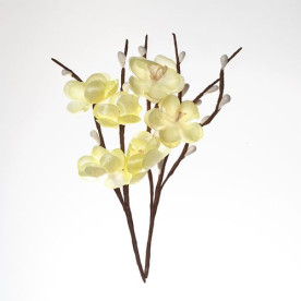 Набір тканинних квітів вишні, кремові, 2 гілочки від Scrapberry's