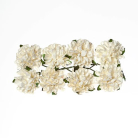 Набір айстр білого кольору 8 шт. 20 мм від Scrapberry's