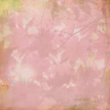 Односторонній папір для скрапбукінгу Indian Summer - Woodrose 30х30 см від BasicGrey