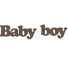 Чипборд  "Baby boy" 19x89 мм