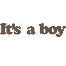 Чипборд  "It's a boy" 18x88 мм