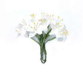 Лилии, набор из 10 цветков, белый цвет