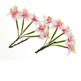 Набір 10 квіток лілії біло-рожевого кольору