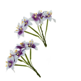 Набір 10 квіток лілії біло-фіолетового кольору