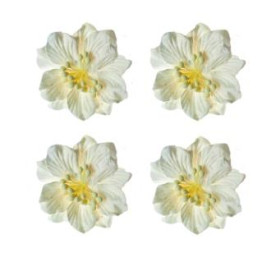 Набор цветков гардении белого цвета 4 шт, 5см