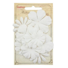 Набір плоских квіточок білого кольору 10 шт