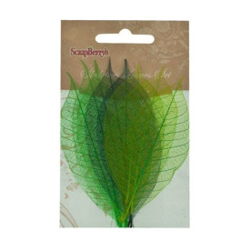 Набір скелетовані листочків в відтінках зеленого кольору 8 шт