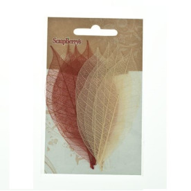 Набір скелетовані листочків в відтінках коричневого кольору 8 шт