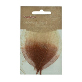 Набор скелетированных листиков в коричневого-бежевого цвета 8 шт