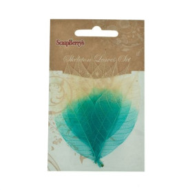 Набор скелетированных листиков в бирюзово-бежевого цвета 8 шт