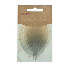 Набор скелетированных листиков серебристо-бежевого цвета 8 шт